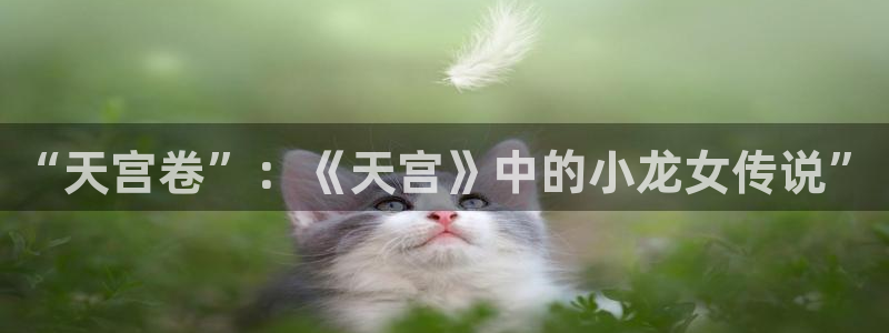 香蕉漫画免费入口